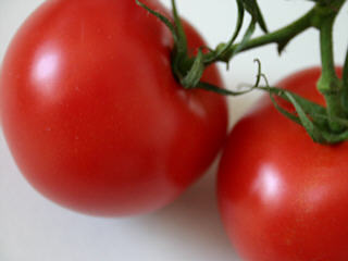 Grußkarte Tomaten
